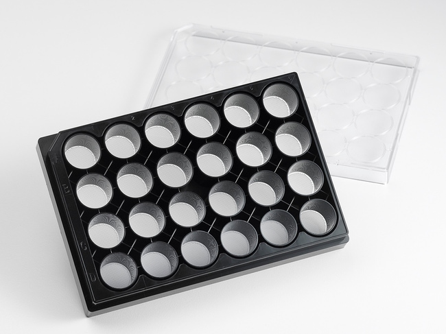 24 Well Black Clear Round  Ultra-Low Att